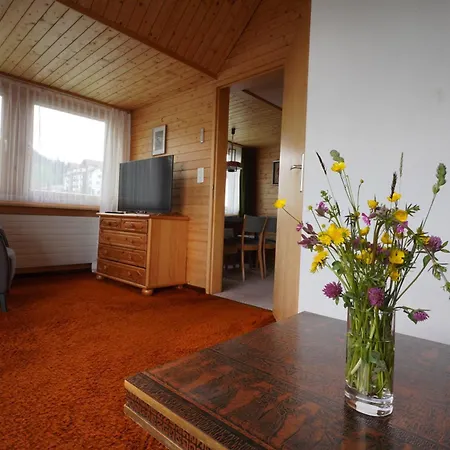 Apartament Haus Domo Flumserberg