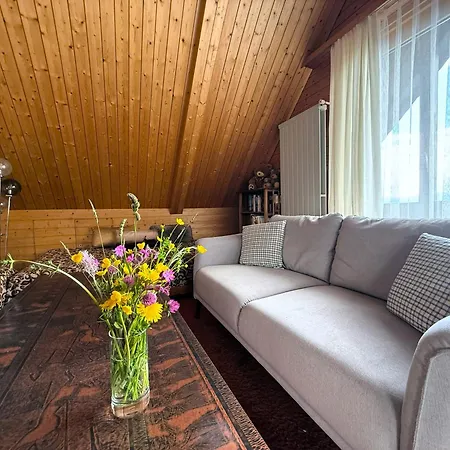 Haus Domo *