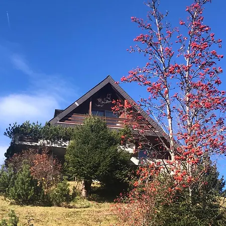 Apartament Haus Domo Flumserberg