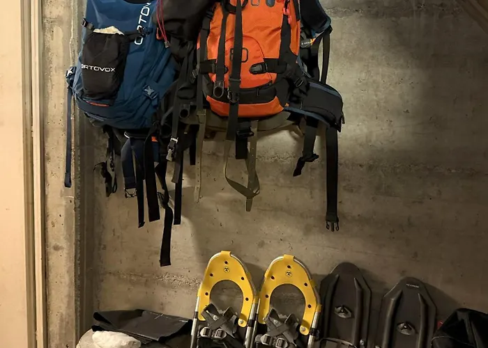 Apartment Haus Domo *