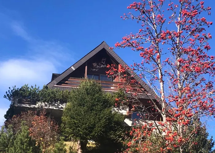 Apartment Haus Domo Flumserberg